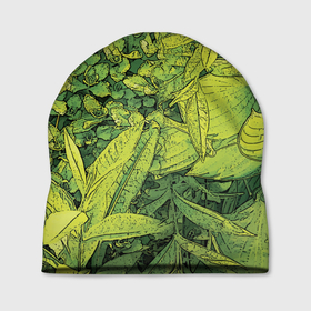Шапка 3D с принтом Растительная жизнь   Хоста в Белгороде, 100% полиэстер | универсальный размер, печать по всей поверхности изделия | Тематика изображения на принте: весенний | зеленый | листья | растения | салатовый | свежий | хоста | цветы