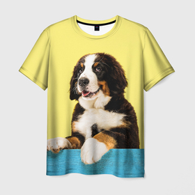 Мужская футболка 3D с принтом Бернский зенненхунд, Berner Sennenhund , 100% полиэфир | прямой крой, круглый вырез горловины, длина до линии бедер | berner | berner sennenhund | dog | sennenhund | бернский зенненхунд | животные | пес | природа | собака | собаки | собакчка | собачки