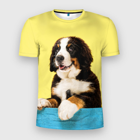 Мужская футболка 3D Slim с принтом Бернский зенненхунд, Berner Sennenhund в Рязани, 100% полиэстер с улучшенными характеристиками | приталенный силуэт, круглая горловина, широкие плечи, сужается к линии бедра | berner | berner sennenhund | dog | sennenhund | бернский зенненхунд | животные | пес | природа | собака | собаки | собакчка | собачки
