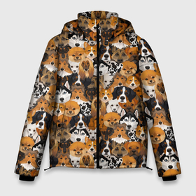 Мужская зимняя куртка 3D с принтом Разные Собаки в Новосибирске, верх — 100% полиэстер; подкладка — 100% полиэстер; утеплитель — 100% полиэстер | длина ниже бедра, свободный силуэт Оверсайз. Есть воротник-стойка, отстегивающийся капюшон и ветрозащитная планка. 

Боковые карманы с листочкой на кнопках и внутренний карман на молнии. | animal | dog | барбос | бобик | год собаки | друг человека | животное | зверь | ищейка | кинолог | кость | лайка | пёс | породы собак | разные породы | собака | собаковод | собачьи следы от лап | хищник