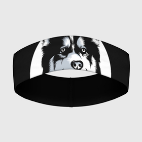 Повязка на голову 3D с принтом Собака Хаски (Husky) в Белгороде,  |  | alaska | animal | dog | husky | siberian husky | wolf | аляскинский маламут | волк | год собаки | друг человека | ездовая собака | животное | зверь | кинолог | лайка | пёс | сибирский хаски | сибирь | собака хаски