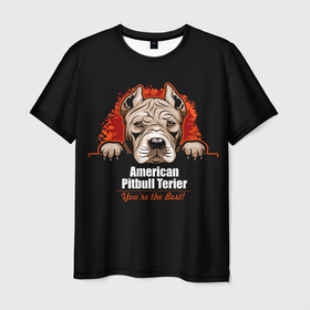 Мужская футболка 3D с принтом Американский Питбультерьер (Pit Bull) в Екатеринбурге, 100% полиэфир | прямой крой, круглый вырез горловины, длина до линии бедер | american pit bull terrier | boxer | bulldog | fighting dog | pit bull | американский питбультерьер | бойцовская собака | бойцовский пес | боксер | бульдог | волкодав | друг человека | кинолог | пес | питбуль | питбультерьер