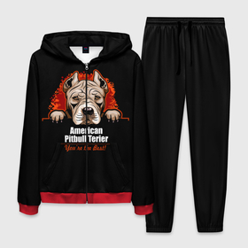 Мужской костюм 3D с принтом Американский Питбультерьер (Pit Bull) в Белгороде, 100% полиэстер | Манжеты и пояс оформлены тканевой резинкой, двухслойный капюшон со шнурком для регулировки, карманы спереди | american pit bull terrier | boxer | bulldog | fighting dog | pit bull | американский питбультерьер | бойцовская собака | бойцовский пес | боксер | бульдог | волкодав | друг человека | кинолог | пес | питбуль | питбультерьер