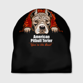 Шапка 3D с принтом Американский Питбультерьер (Pit Bull) в Екатеринбурге, 100% полиэстер | универсальный размер, печать по всей поверхности изделия | american pit bull terrier | boxer | bulldog | fighting dog | pit bull | американский питбультерьер | бойцовская собака | бойцовский пес | боксер | бульдог | волкодав | друг человека | кинолог | пес | питбуль | питбультерьер
