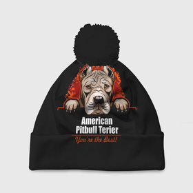 Шапка 3D c помпоном с принтом Американский Питбультерьер (Pit Bull) в Новосибирске, 100% полиэстер | универсальный размер, печать по всей поверхности изделия | american pit bull terrier | boxer | bulldog | fighting dog | pit bull | американский питбультерьер | бойцовская собака | бойцовский пес | боксер | бульдог | волкодав | друг человека | кинолог | пес | питбуль | питбультерьер