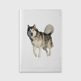 Обложка для паспорта матовая кожа с принтом маламут Аляска в Белгороде, натуральная матовая кожа | размер 19,3 х 13,7 см; прозрачные пластиковые крепления | Тематика изображения на принте: аляска | аляскинский маамут | маламут | маламутик | собака | собаки