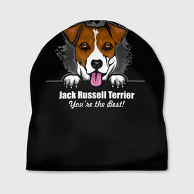 Шапка 3D с принтом Джек Рассел Терьер (Jack Russell Terrier) в Новосибирске, 100% полиэстер | универсальный размер, печать по всей поверхности изделия | animal | dog terrier | jack russell terrier | год собаки | джек рассел терьер | друг человека | животное | зверь | кинолог | охотничья собака | пёс | пёсик | собака джек рассел терьер | собаковод | терьер