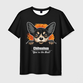 Мужская футболка 3D с принтом Чихуахуа (Chihuahua) в Белгороде, 100% полиэфир | прямой крой, круглый вырез горловины, длина до линии бедер | animal | chihuahua | dog | год собаки | друг человека | животное | зверь | карликовая собачка | карманная собачка | кинолог | маленькая собака | пёс | пёсик | собака чихуахуа | собаковод | четвероногий