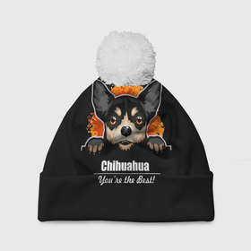 Шапка 3D c помпоном с принтом Чихуахуа (Chihuahua) в Екатеринбурге, 100% полиэстер | универсальный размер, печать по всей поверхности изделия | animal | chihuahua | dog | год собаки | друг человека | животное | зверь | карликовая собачка | карманная собачка | кинолог | маленькая собака | пёс | пёсик | собака чихуахуа | собаковод | четвероногий