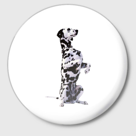 Значок с принтом Dalmatin в Санкт-Петербурге,  металл | круглая форма, металлическая застежка в виде булавки | Тематика изображения на принте: далматин | далматинец | животные | собака | собаки