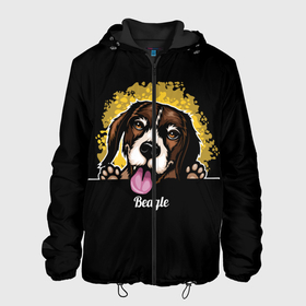 Мужская куртка 3D с принтом Бигль (Beagle) в Екатеринбурге, ткань верха — 100% полиэстер, подклад — флис | прямой крой, подол и капюшон оформлены резинкой с фиксаторами, два кармана без застежек по бокам, один большой потайной карман на груди. Карман на груди застегивается на липучку | animal | beagle | dog | hunting dog | бигль | год собаки | гончая собака | друг человека | животное | зверь | кинолог | охотничья собака | пес | порода собак | собака бигль | собаковод | собачка | хищник