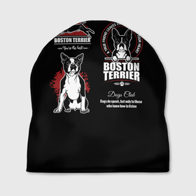 Шапка 3D с принтом Бостон Терьер (Boston Terrier) , 100% полиэстер | универсальный размер, печать по всей поверхности изделия | a | boston terrier | bull terrier | bulldog | dog | terrier | бостон терьер | бостонский терьер | бульдог | бультерьер | год собаки | друг человека | животное | зверь | ищейка | кинолог | кость | пёс | собака бостон терьер
