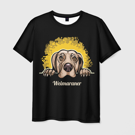 Мужская футболка 3D с принтом Веймаранер (Weimaraner) в Курске, 100% полиэфир | прямой крой, круглый вырез горловины, длина до линии бедер | animal | dog | hunting dog | weimaraner | веймаранер | веймарская овчарка | год собаки | друг человека | животное | зверь | кинолог | легавая | охотничья собака | пёс | порода собак | собака | собака веймаранер