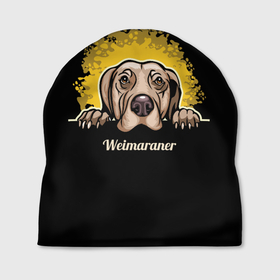 Шапка 3D с принтом Веймаранер (Weimaraner) в Белгороде, 100% полиэстер | универсальный размер, печать по всей поверхности изделия | animal | dog | hunting dog | weimaraner | веймаранер | веймарская овчарка | год собаки | друг человека | животное | зверь | кинолог | легавая | охотничья собака | пёс | порода собак | собака | собака веймаранер