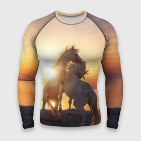 Мужской рашгард 3D с принтом Лошади на закате ,  |  | восход | животные | закат | звери | кони | конь | коняшка | лошади | лошадка | лошадь | на восходе | на закате | пони | природа | солнце