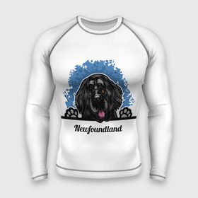 Мужской рашгард 3D с принтом Ньюфаундленд (Newfoundland) в Курске,  |  | animal | diver dog | dog | newfoundland dog | год собаки | друг человека | животное | зверь | кинолог | ньюфаундленд | пёс | порода собак | собака | собака водолаз | собака ньюфаундленд | собаковод | щенок