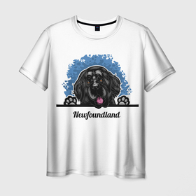 Мужская футболка 3D с принтом Ньюфаундленд (Newfoundland) в Курске, 100% полиэфир | прямой крой, круглый вырез горловины, длина до линии бедер | animal | diver dog | dog | newfoundland dog | год собаки | друг человека | животное | зверь | кинолог | ньюфаундленд | пёс | порода собак | собака | собака водолаз | собака ньюфаундленд | собаковод | щенок