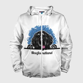 Мужская ветровка 3D с принтом Ньюфаундленд (Newfoundland) в Тюмени, 100% полиэстер | подол и капюшон оформлены резинкой с фиксаторами, два кармана без застежек по бокам, один потайной карман на груди | animal | diver dog | dog | newfoundland dog | год собаки | друг человека | животное | зверь | кинолог | ньюфаундленд | пёс | порода собак | собака | собака водолаз | собака ньюфаундленд | собаковод | щенок