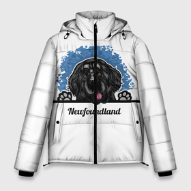 Мужская зимняя куртка 3D с принтом Ньюфаундленд (Newfoundland) в Курске, верх — 100% полиэстер; подкладка — 100% полиэстер; утеплитель — 100% полиэстер | длина ниже бедра, свободный силуэт Оверсайз. Есть воротник-стойка, отстегивающийся капюшон и ветрозащитная планка. 

Боковые карманы с листочкой на кнопках и внутренний карман на молнии. | animal | diver dog | dog | newfoundland dog | год собаки | друг человека | животное | зверь | кинолог | ньюфаундленд | пёс | порода собак | собака | собака водолаз | собака ньюфаундленд | собаковод | щенок