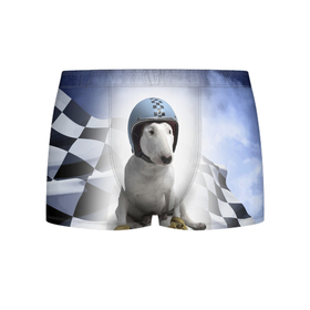 Мужские трусы 3D с принтом Bully   легендарный гонщик в Петрозаводске, 50% хлопок, 50% полиэстер | классическая посадка, на поясе мягкая тканевая резинка | Тематика изображения на принте: bull terrier | dog | flag | gloves | helmet | motorsport | muzzle | paws | racer | автоспорт | бультерьер | гонщик | лапы | перчатки | собака | флаг | шлем