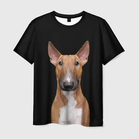 Мужская футболка 3D с принтом Строгий смелый взгляд в Тюмени, 100% полиэфир | прямой крой, круглый вырез горловины, длина до линии бедер | bull terrier | dog | ears | eyes | muzzle | view | бультерьер | взгляд | глаза | пёс | собака | уши