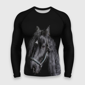 Мужской рашгард 3D с принтом Лошадь на черном фоне в Петрозаводске,  |  | восход | животные | закат | звери | кони | конь | коняшка | лошади | лошадка | лошадь | на восходе | на закате | пони | природа | солнце