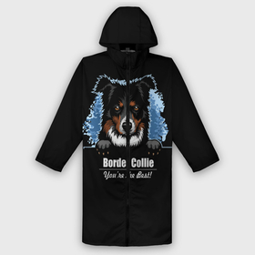 Дождевик унисекс 3D с принтом Бордер Колли (Border Collie) в городе Новоалтайск,  |  | animal | border collie | dog | бордер колли | год собаки | друг человека | животное | зверь | ищейка | кинолог | кость | овчарка | пастушья собака | пёс | порода собак | собака бордер колли | собаковод