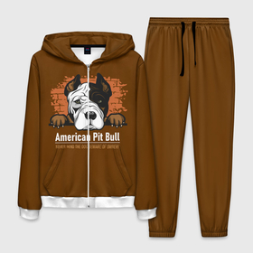 Мужской костюм 3D с принтом Американский Питбультерьер (Pit Bull Terrier) в Екатеринбурге, 100% полиэстер | Манжеты и пояс оформлены тканевой резинкой, двухслойный капюшон со шнурком для регулировки, карманы спереди | american pit bull terrier | boxer | bulldog | fighting dog | pit bull | американский питбультерьер | бойцовская собака | бойцовский пес | боксер | бульдог | волкодав | друг человека | кинолог | пес | питбуль | питбультерьер