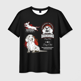 Мужская футболка 3D с принтом Собака Такса (Dachshund) в Белгороде, 100% полиэфир | прямой крой, круглый вырез горловины, длина до линии бедер | Тематика изображения на принте: animal | dachshund | dog | hunting dog | год собаки | друг человека | животное | кинолог | охотничья собака | пёс | порода собак | собака такса | собаковод | такса | четвероногий | щенок таксы