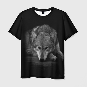 Мужская футболка 3D с принтом Волк, на черном фоне в Санкт-Петербурге, 100% полиэфир | прямой крой, круглый вырез горловины, длина до линии бедер | wolf | wolfs | волк | волки | волчара | животные | звери | лес | природа