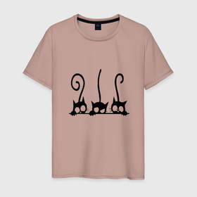 Мужская футболка хлопок с принтом Три cat в Санкт-Петербурге, 100% хлопок | прямой крой, круглый вырез горловины, длина до линии бедер, слегка спущенное плечо. | Тематика изображения на принте: cat | животное | кота | кошка | три