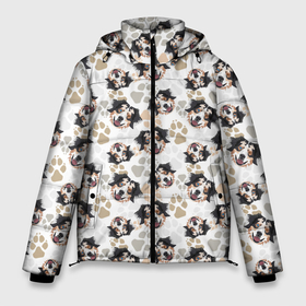 Мужская зимняя куртка 3D с принтом Собака Австралийская Овчарка , верх — 100% полиэстер; подкладка — 100% полиэстер; утеплитель — 100% полиэстер | длина ниже бедра, свободный силуэт Оверсайз. Есть воротник-стойка, отстегивающийся капюшон и ветрозащитная планка. 

Боковые карманы с листочкой на кнопках и внутренний карман на молнии. | animal | australian shepherd | dog | австралийская овчарка | аусси | год собаки | друг человека | животное | зверь | кинолог | колли | овчарка | пастушья собака | пёс | собака овчарка | собаковод | четвероногий