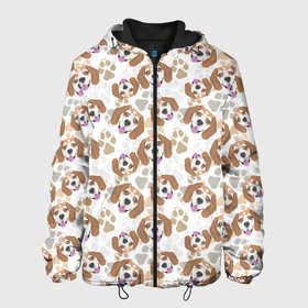 Мужская куртка 3D с принтом Бигль Собака в Екатеринбурге, ткань верха — 100% полиэстер, подклад — флис | прямой крой, подол и капюшон оформлены резинкой с фиксаторами, два кармана без застежек по бокам, один большой потайной карман на груди. Карман на груди застегивается на липучку | animal | beagle | dog | hunting dog | бигль | год собаки | гончая собака | друг человека | животное | зверь | кинолог | охотничья собака | пес | порода собак | собака бигль | собаковод | собачка | хищник