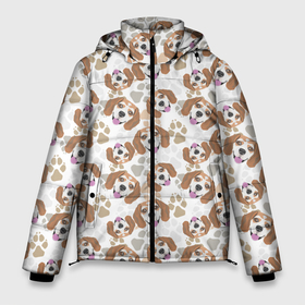 Мужская зимняя куртка 3D с принтом Бигль Собака в Петрозаводске, верх — 100% полиэстер; подкладка — 100% полиэстер; утеплитель — 100% полиэстер | длина ниже бедра, свободный силуэт Оверсайз. Есть воротник-стойка, отстегивающийся капюшон и ветрозащитная планка. 

Боковые карманы с листочкой на кнопках и внутренний карман на молнии. | Тематика изображения на принте: animal | beagle | dog | hunting dog | бигль | год собаки | гончая собака | друг человека | животное | зверь | кинолог | охотничья собака | пес | порода собак | собака бигль | собаковод | собачка | хищник