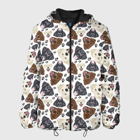 Мужская куртка 3D с принтом Лабрадор (Labrador Retriever) в Белгороде, ткань верха — 100% полиэстер, подклад — флис | прямой крой, подол и капюшон оформлены резинкой с фиксаторами, два кармана без застежек по бокам, один большой потайной карман на груди. Карман на груди застегивается на липучку | Тематика изображения на принте: animal | dog | hunting dog | labrador | labrador retriever | год собаки | друг человека | животное | зверь | кинолог | лабрадор | лабрадор ретривер | охотничья собака | пес | порода собак | ретривер | собака лабрадор