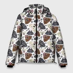 Мужская зимняя куртка 3D с принтом Лабрадор (Labrador Retriever) в Екатеринбурге, верх — 100% полиэстер; подкладка — 100% полиэстер; утеплитель — 100% полиэстер | длина ниже бедра, свободный силуэт Оверсайз. Есть воротник-стойка, отстегивающийся капюшон и ветрозащитная планка. 

Боковые карманы с листочкой на кнопках и внутренний карман на молнии. | Тематика изображения на принте: animal | dog | hunting dog | labrador | labrador retriever | год собаки | друг человека | животное | зверь | кинолог | лабрадор | лабрадор ретривер | охотничья собака | пес | порода собак | ретривер | собака лабрадор