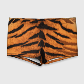 Мужские купальные плавки 3D с принтом ТИГРИНАЯ ШКУРА в Тюмени, Полиэстер 85%, Спандекс 15% |  | 2022 | christmas | merry | new | tiger | year | год | животные | новый | рождество | текструа | тигр | тигра | тигриная | тигровая | шерсть