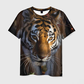 Мужская футболка 3D с принтом Большой сильный тигр в Екатеринбурге, 100% полиэфир | прямой крой, круглый вырез горловины, длина до линии бедер | tiger | животные | звири | кошка | кошки | крупная кошка | природа | тигр