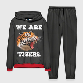 Мужской костюм 3D (с толстовкой) с принтом Тигр. We are tigers в Екатеринбурге,  |  | Тематика изображения на принте: tiger | восточный тигр | год тигра | кошка | тигр | тигренок | хищник
