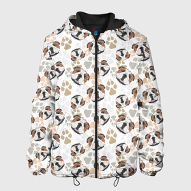 Мужская куртка 3D с принтом Английский Бульдог (Bulldog) в Екатеринбурге, ткань верха — 100% полиэстер, подклад — флис | прямой крой, подол и капюшон оформлены резинкой с фиксаторами, два кармана без застежек по бокам, один большой потайной карман на груди. Карман на груди застегивается на липучку | animal | bulldog | dog | english bulldog | pit bull | английский бульдог | бойцовская собака | бульдог | год собаки | друг человека | животное | зверь | кинолог | пёс | питбуль | собака английский бульдог | собаковод