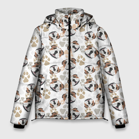 Мужская зимняя куртка 3D с принтом Английский Бульдог (Bulldog) в Екатеринбурге, верх — 100% полиэстер; подкладка — 100% полиэстер; утеплитель — 100% полиэстер | длина ниже бедра, свободный силуэт Оверсайз. Есть воротник-стойка, отстегивающийся капюшон и ветрозащитная планка. 

Боковые карманы с листочкой на кнопках и внутренний карман на молнии. | animal | bulldog | dog | english bulldog | pit bull | английский бульдог | бойцовская собака | бульдог | год собаки | друг человека | животное | зверь | кинолог | пёс | питбуль | собака английский бульдог | собаковод