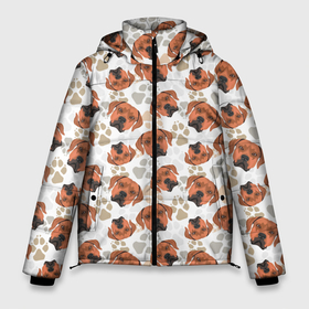 Мужская зимняя куртка 3D с принтом Собака Родезийский Риджбек , верх — 100% полиэстер; подкладка — 100% полиэстер; утеплитель — 100% полиэстер | длина ниже бедра, свободный силуэт Оверсайз. Есть воротник-стойка, отстегивающийся капюшон и ветрозащитная планка. 

Боковые карманы с листочкой на кнопках и внутренний карман на молнии. | Тематика изображения на принте: animal | dog | hunting dog | rhodesian ridgeback | год собаки | гончая | друг человека | животное | зверь | кинолог | охотничья собака | пес | порода собак | родезийский риджбек | собака родезийский риджбек | собаковод