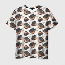 Мужская футболка 3D с принтом Собака Ротвейлер (Rottweiler) в Санкт-Петербурге, 100% полиэфир | прямой крой, круглый вырез горловины, длина до линии бедер | animal | dog | fighting dog | rottweiler | бойцовская собака | год собаки | друг человека | животное | зверь | кинолог | пёс | порода собак | ротвейлер | собака ротвейлер | собаковод | хищник | четвероногий