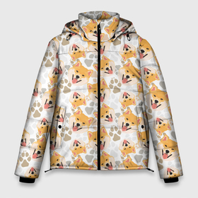 Мужская зимняя куртка 3D с принтом Собака Сиба Ину в Новосибирске, верх — 100% полиэстер; подкладка — 100% полиэстер; утеплитель — 100% полиэстер | длина ниже бедра, свободный силуэт Оверсайз. Есть воротник-стойка, отстегивающийся капюшон и ветрозащитная планка. 

Боковые карманы с листочкой на кнопках и внутренний карман на молнии. | Тематика изображения на принте: animal | dog | hunting dog | shiba inu | shiba ken | spitz | год собаки | друг человека | животное | кинолог | охотничья собака | пёс | сиба ину | сиба кэн | собака сиба ину | собаковод | четвероногий | шиба ину | шпиц