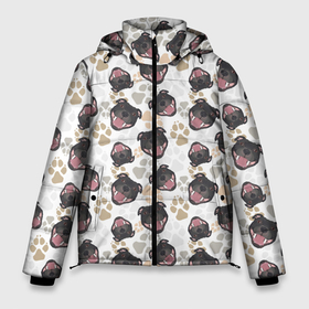 Мужская зимняя куртка 3D с принтом Стаффордширский Бультерьер (Bull Terrier) в Екатеринбурге, верх — 100% полиэстер; подкладка — 100% полиэстер; утеплитель — 100% полиэстер | длина ниже бедра, свободный силуэт Оверсайз. Есть воротник-стойка, отстегивающийся капюшон и ветрозащитная планка. 

Боковые карманы с листочкой на кнопках и внутренний карман на молнии. | bull terrier | bulldog | dog | fighting dog | staffordshire bull terrier | terrier | бойцовская собака | бульдог | бультерьер | друг человека | собака бультерьер | стаффорд | стаффордширский бультерьер | терьер | щенки бультерьера