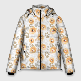 Мужская зимняя куртка 3D с принтом Собака Чау Чау в Новосибирске, верх — 100% полиэстер; подкладка — 100% полиэстер; утеплитель — 100% полиэстер | длина ниже бедра, свободный силуэт Оверсайз. Есть воротник-стойка, отстегивающийся капюшон и ветрозащитная планка. 

Боковые карманы с листочкой на кнопках и внутренний карман на молнии. | Тематика изображения на принте: animal | chow chow | dog | spitz | год собаки | друг человека | животное | кинолог | пёс | порода собак | собака чау чау | собаковод | сторожевая собака | чау чау | четвероногий | шпиц | щенок чау чау