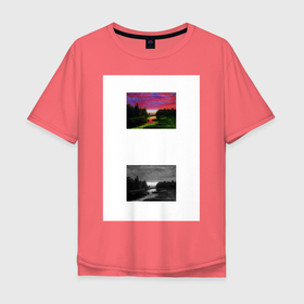 Мужская футболка хлопок Oversize с принтом KALAISN в Тюмени, 100% хлопок | свободный крой, круглый ворот, “спинка” длиннее передней части | kalaisn | картины | пейзаж | стиль | эстетика