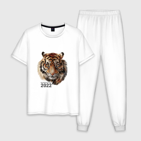 Мужская пижама хлопок с принтом Тигр 2022 символ в Санкт-Петербурге, 100% хлопок | брюки и футболка прямого кроя, без карманов, на брюках мягкая резинка на поясе и по низу штанин
 | амурский тигр | год 2022 | кошка | новый год | символ 2022 | тигр | тигр 2022