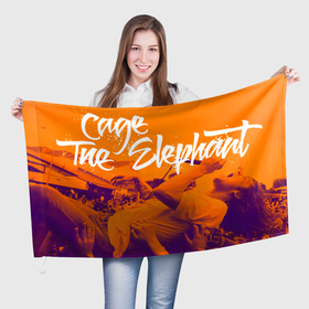 Флаг 3D с принтом Cage the elephant в Екатеринбурге, 100% полиэстер | плотность ткани — 95 г/м2, размер — 67 х 109 см. Принт наносится с одной стороны | alternative | cage the elephant | metall | music | rock | альтернатива | кэйдж зэ элефант | металл | музыка | рок
