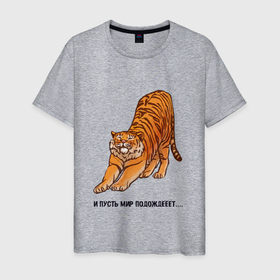 Мужская футболка хлопок с принтом И пусть мир подождёт| тигр в Новосибирске, 100% хлопок | прямой крой, круглый вырез горловины, длина до линии бедер, слегка спущенное плечо. | 2022 | год тигра | надписи | надпись | новый год | тигр | тигровый год